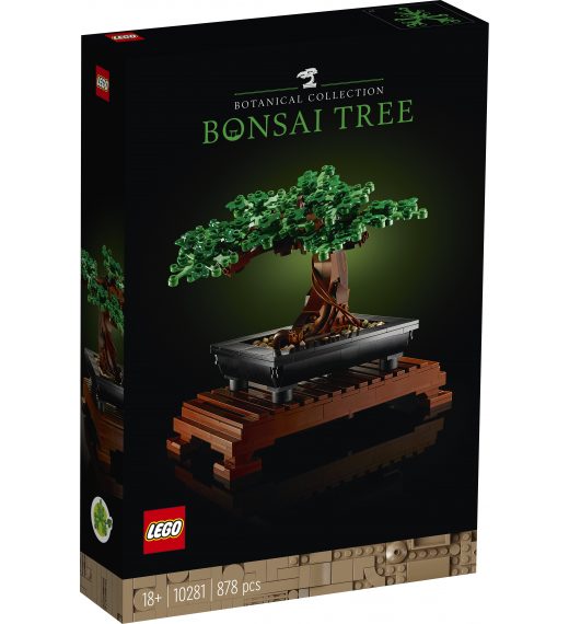 Bonsai drvo 10281 - Creator