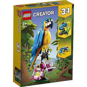 LEGO kocke CREATOR Egzotična papiga 31136