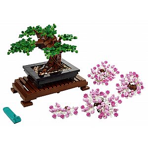 Bonsai drvo 10281 - Creator