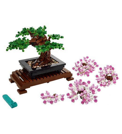 Bonsai drvo 10281 - Creator