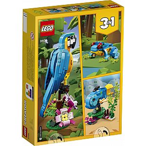 LEGO kocke CREATOR Egzotična papiga 31136